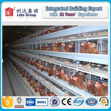 Prefabricated Poultry House/China House Prefabricated